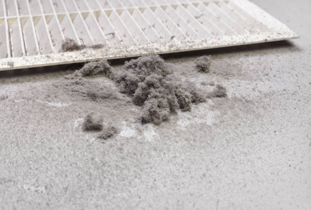 Best Residential Air Duct Cleaning  in Southern Gateway, VA